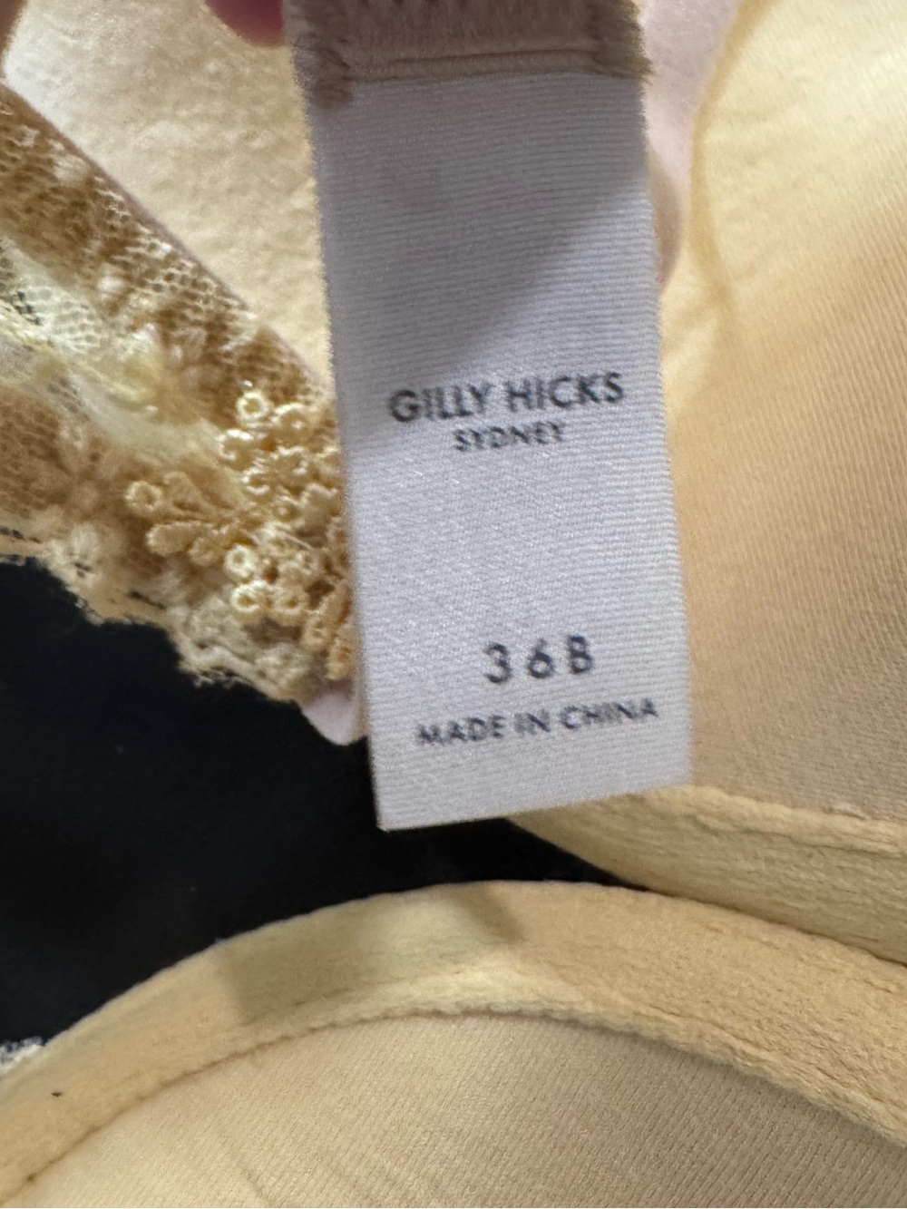 Gilly Hicks Hollister Powder Yellow Lace Bra - NWT - Size 36B - Picture 5 of 6